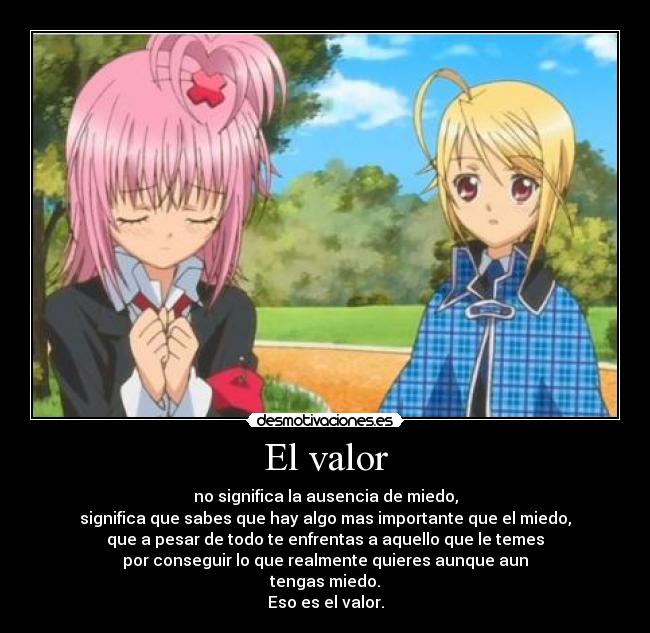 El valor - no significa la ausencia de miedo,
significa que sabes que hay algo mas importante que el miedo,
que a pesar de todo te enfrentas a aquello que le temes
por conseguir lo que realmente quieres aunque aun
tengas miedo.
Eso es el valor.