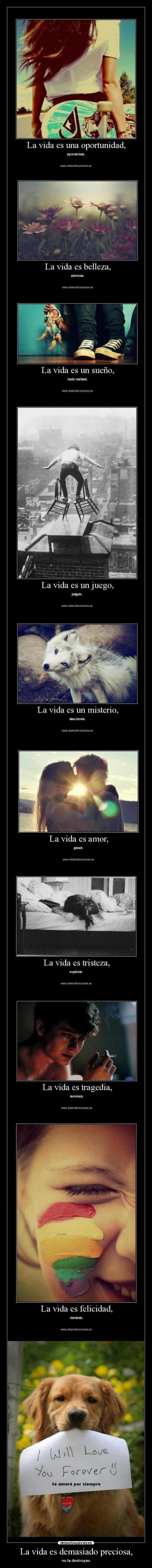 La vida es demasiado preciosa, - no la destruyas.