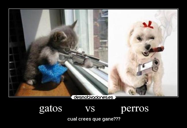 gatos        vs         perros - cual crees que gane???