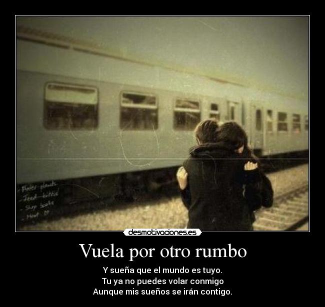 Vuela por otro rumbo -