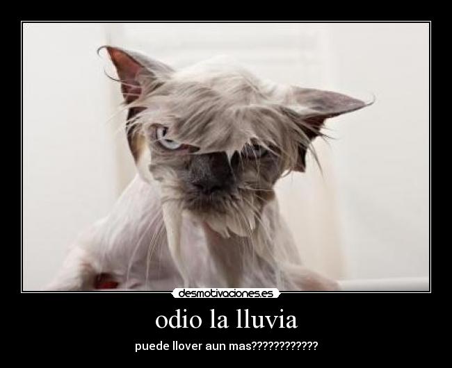 odio la lluvia - puede llover aun mas????????????