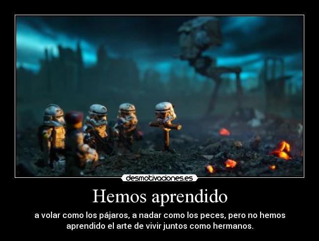 carteles hemos aprendido volar desmotivaciones