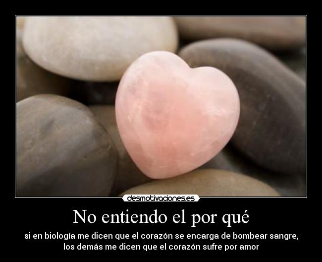 No entiendo el por qué -