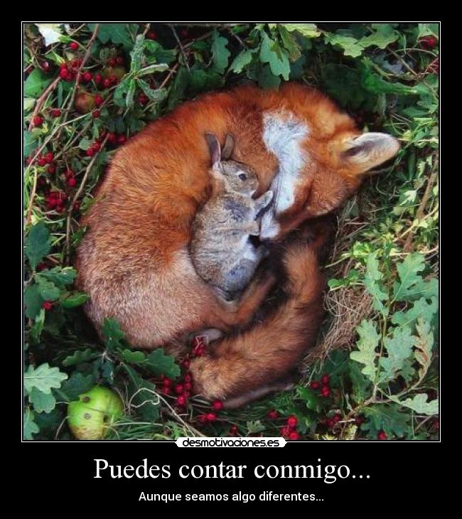 Puedes contar conmigo... -