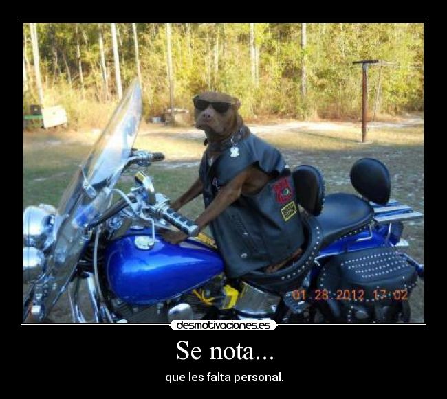 carteles rockyman100 desmotivaciones