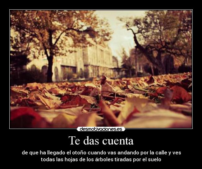 Te das cuenta - de que ha llegado el otoño cuando vas andando por la calle y ves
todas las hojas de los árboles tiradas por el suelo