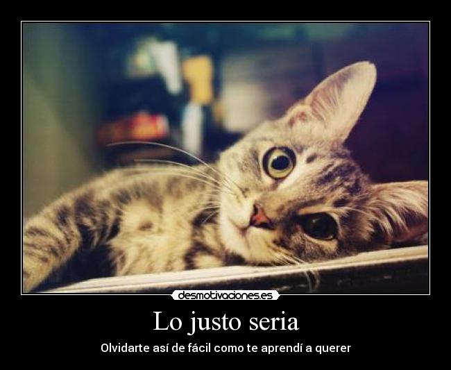 Lo justo seria - Olvidarte así de fácil como te aprendí a querer