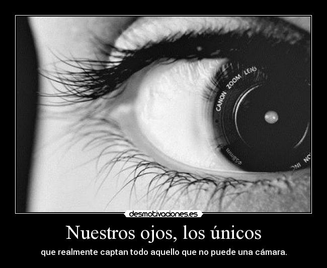 Nuestros ojos, los únicos -