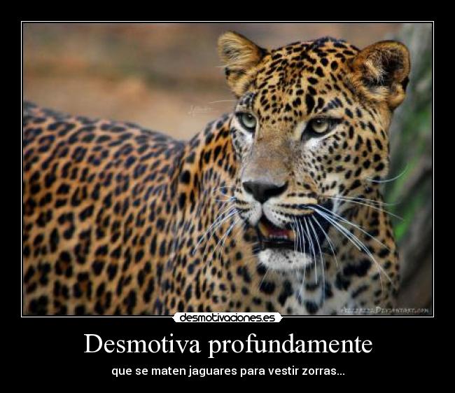 Desmotiva profundamente - que se maten jaguares para vestir zorras...