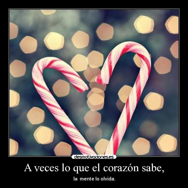 A veces lo que el corazón sabe, - la mente lo olvida.