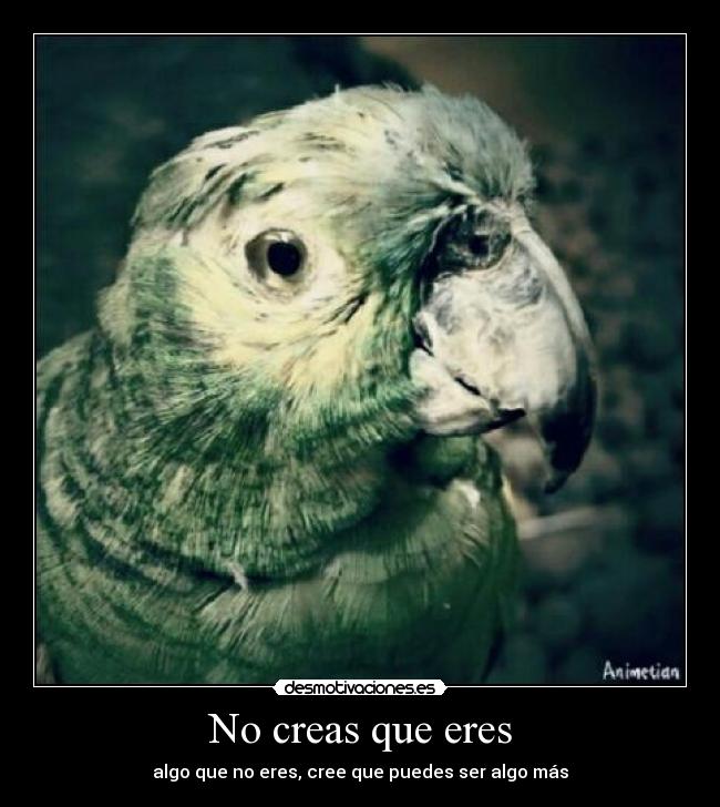 carteles vanete desmotivaciones