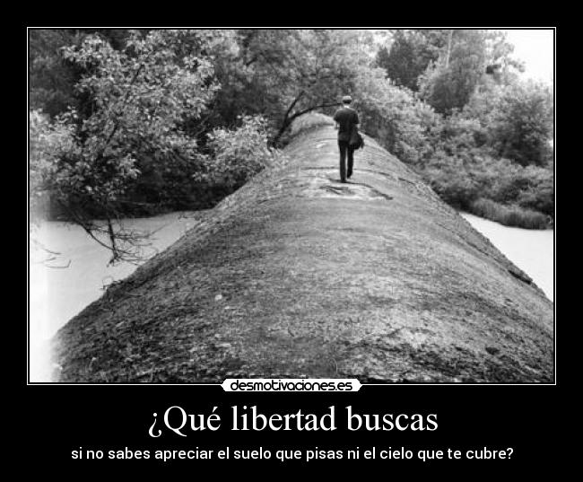 ¿Qué libertad buscas - 