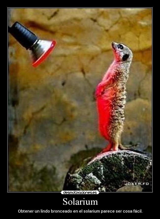 Solarium - Obtener un lindo bronceado en el solarium parece ser cosa fácil.