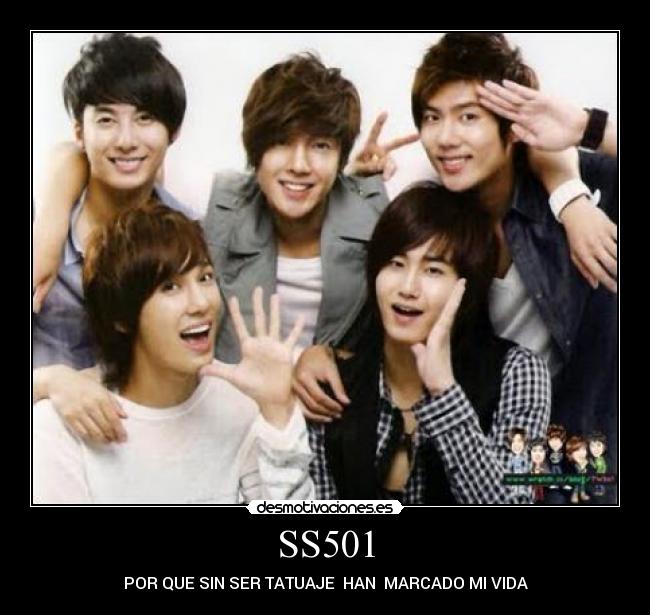 carteles ss501 desmotivaciones