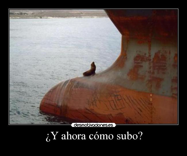 carteles eften desmotivaciones