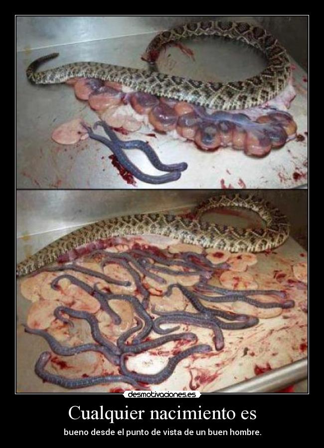 Cualquier nacimiento es - bueno desde el punto de vista de un buen hombre.