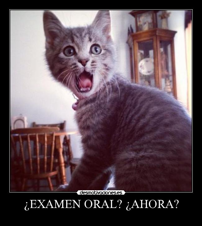¿EXAMEN ORAL? ¿AHORA? -