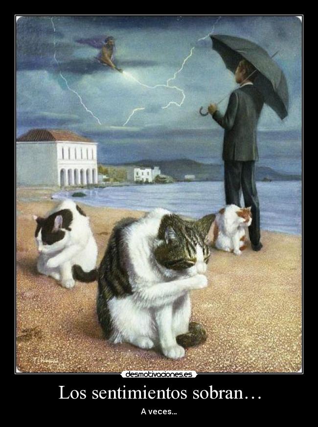 carteles sentimientos gato intruders crazyclub clanreyleon suele pasar pocos entenderan xddddddd desmotivaciones