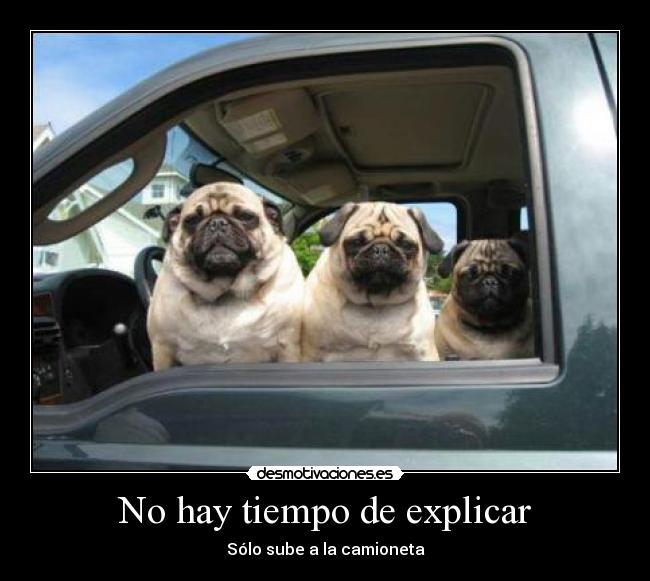carteles pug explicar sube camioneta desmotivaciones