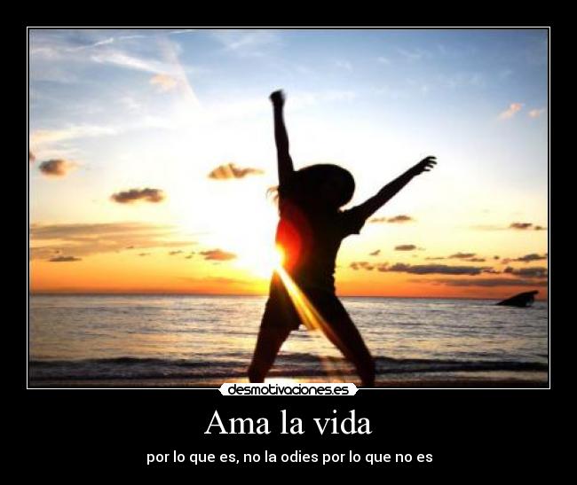 Ama la vida - por lo que es, no la odies por lo que no es