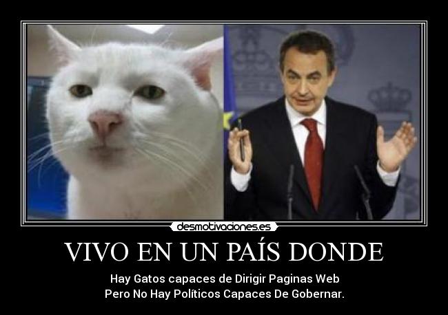 VIVO EN UN PAÍS DONDE - Hay Gatos capaces de Dirigir Paginas Web
Pero No Hay Políticos Capaces De Gobernar.