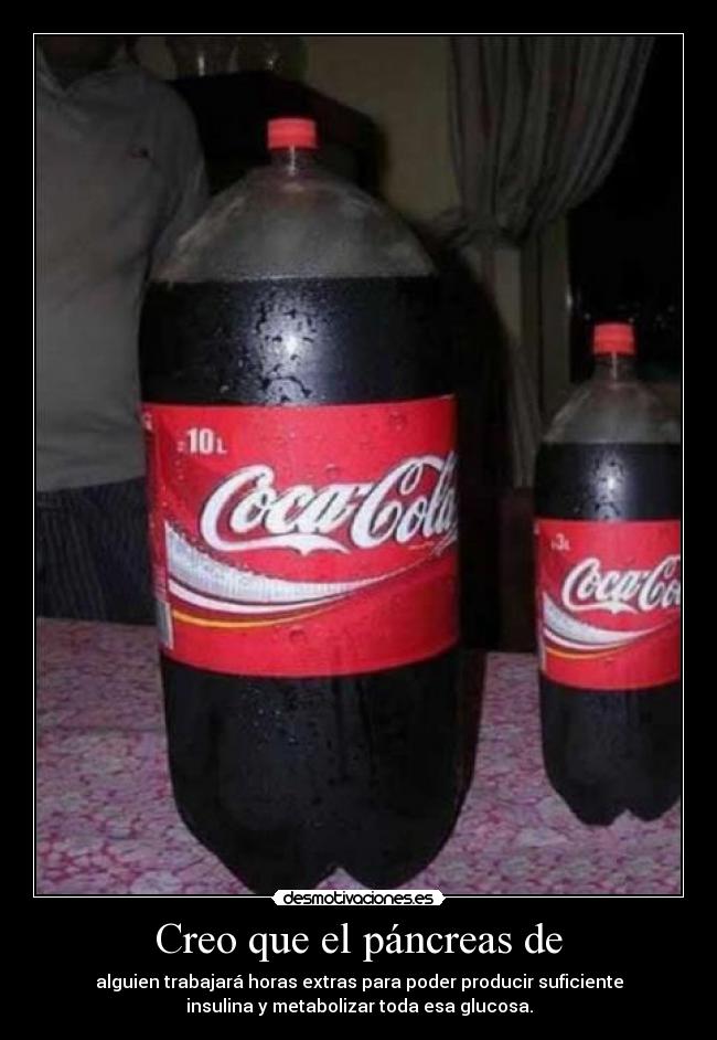Creo que el páncreas de - alguien trabajará horas extras para poder producir suficiente
insulina y metabolizar toda esa glucosa.