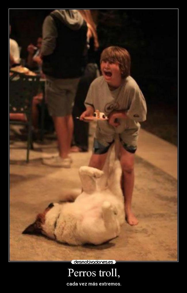 Perros troll, -