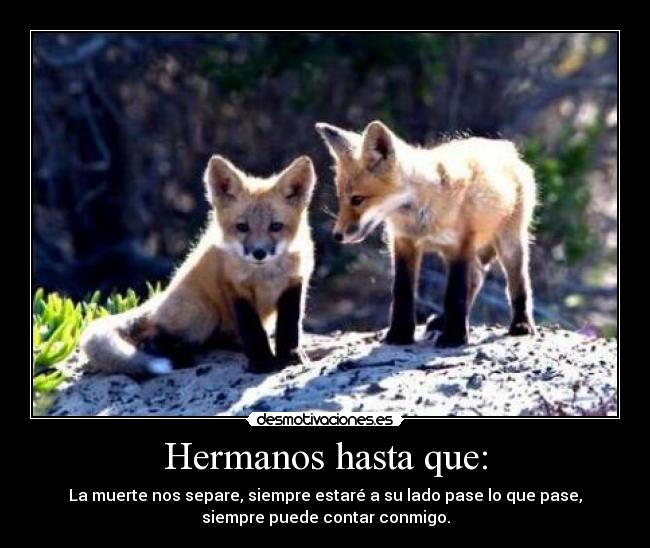 Hermanos hasta que: - 