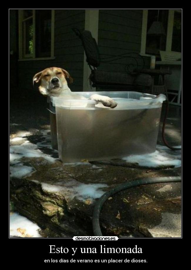 carteles verano placer dioses gibson2528 desmotivaciones