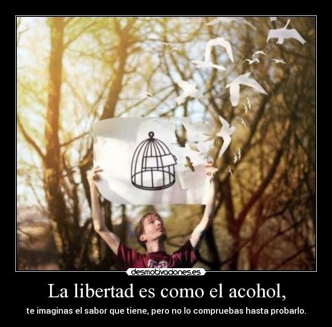La libertad es como el acohol, - te imaginas el sabor que tiene, pero no lo compruebas hasta probarlo.