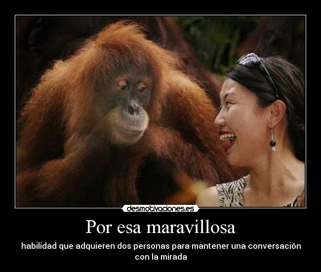 Por esa maravillosa - habilidad que adquieren dos personas para mantener una conversación
con la mirada