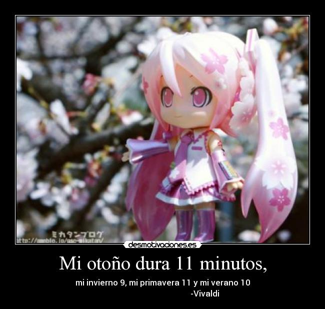 Mi otoño dura 11 minutos, -