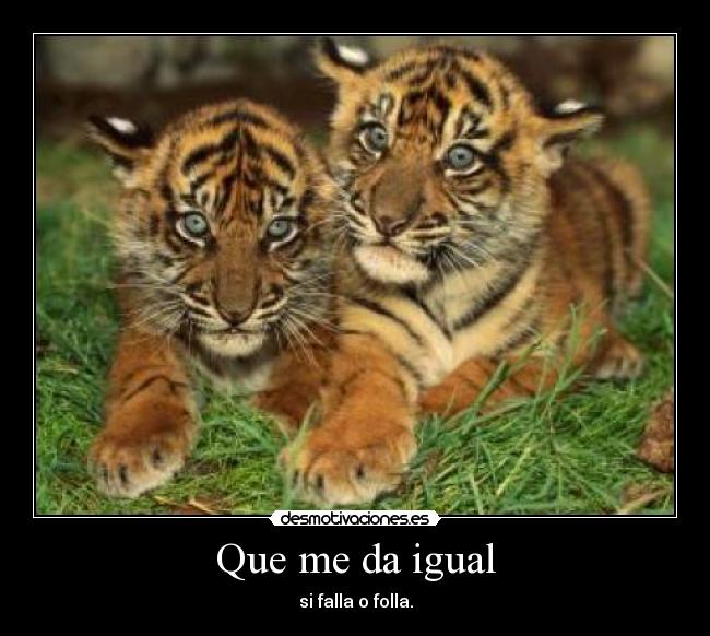 Que me da igual -