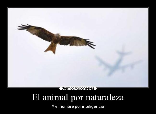 El animal por naturaleza - Y el hombre por inteligencia