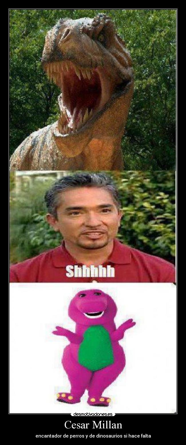 Cesar Millan -