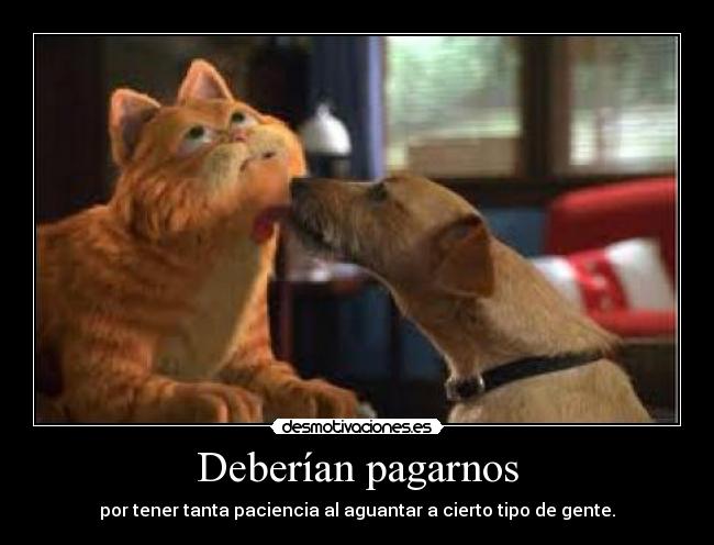 Deberían pagarnos -