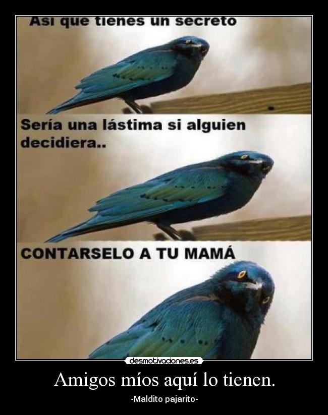 Amigos míos aquí lo tienen. - -Maldito pajarito-