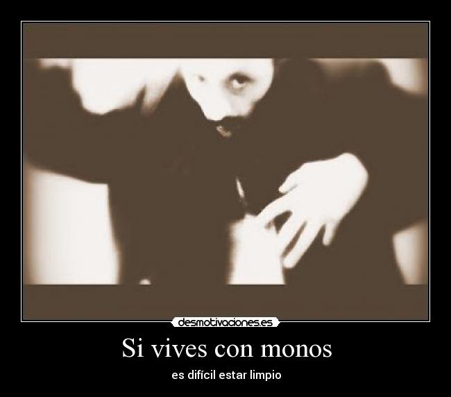 carteles lanoviadedracula vives monos marilyn manson desmotivaciones