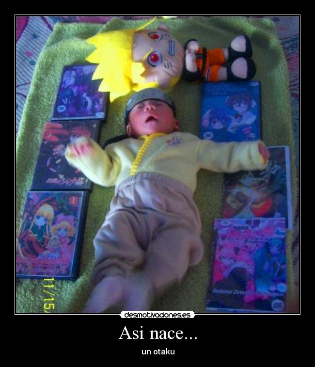 Asi nace... -