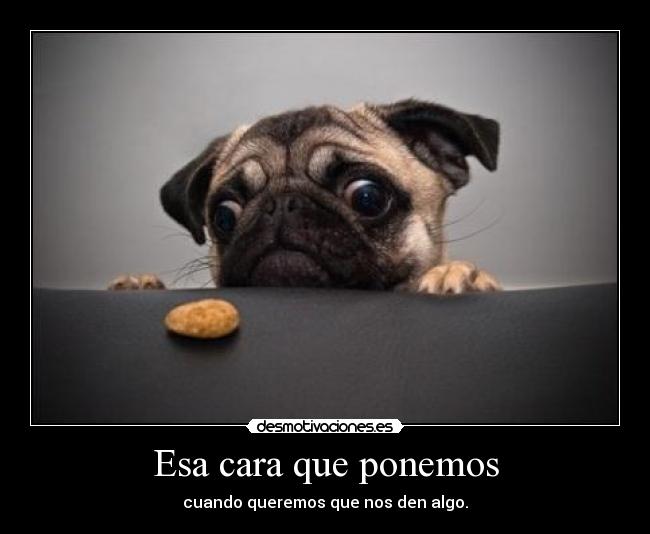 Esa cara que ponemos -