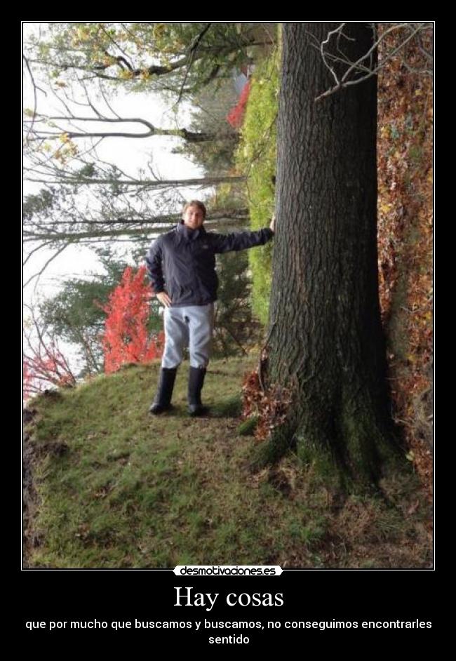 Hay cosas - que por mucho que buscamos y buscamos, no conseguimos encontrarles sentido