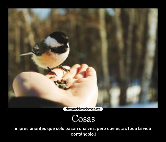 Cosas - impresionantes que solo pasan una vez, pero que estas toda la vida contándolo.!