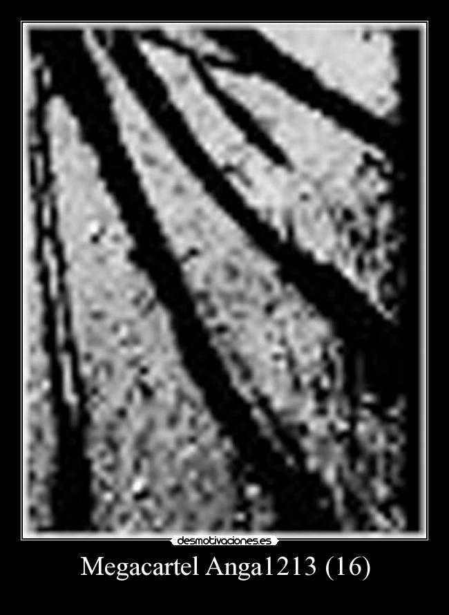 Megacartel Anga1213 (16) -