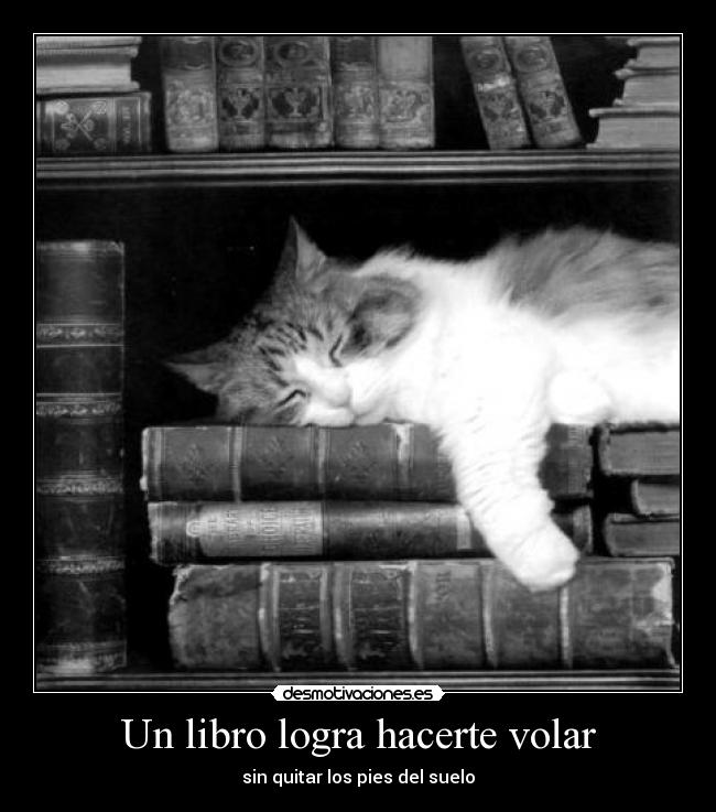 Un libro logra hacerte volar - sin quitar los pies del suelo