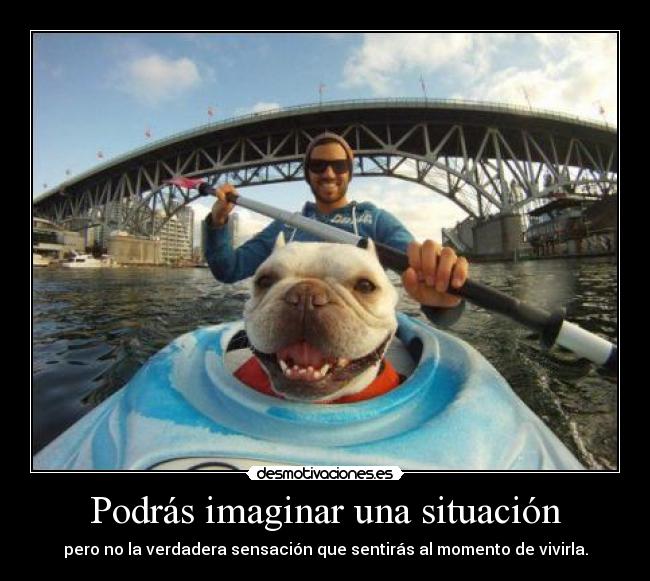 Podrás imaginar una situación - pero no la verdadera sensación que sentirás al momento de vivirla.