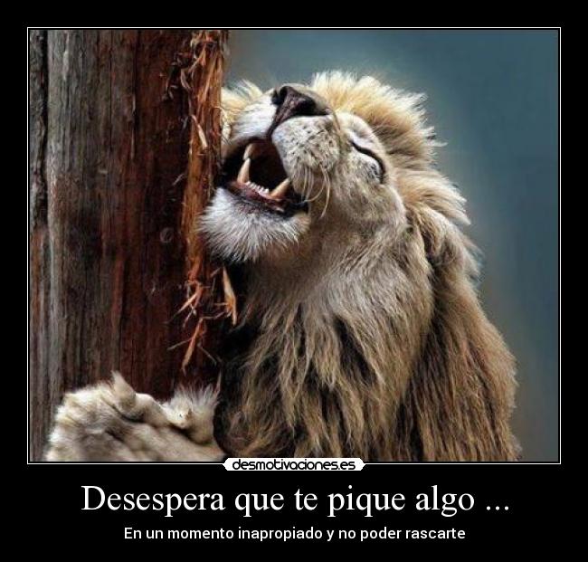 carteles rutherfordio manana meeeee voooy extranen wee quien iva extranar jaja desmotivaciones