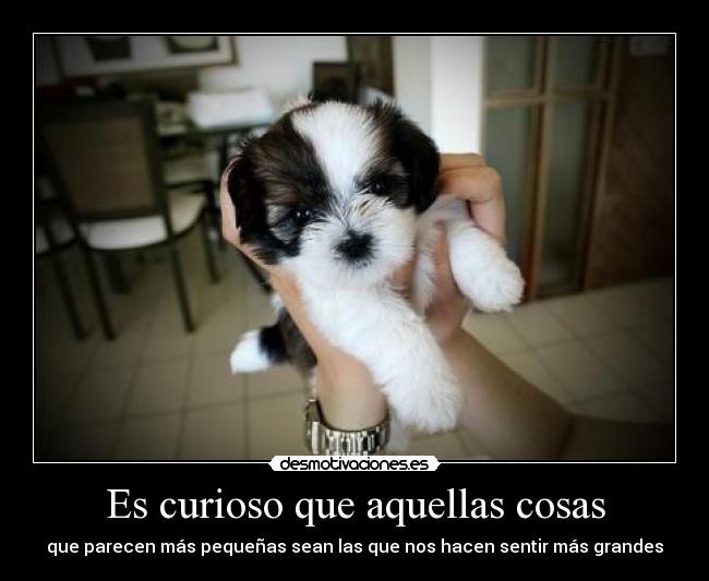 Es curioso que aquellas cosas - que parecen más pequeñas sean las que nos hacen sentir más grandes