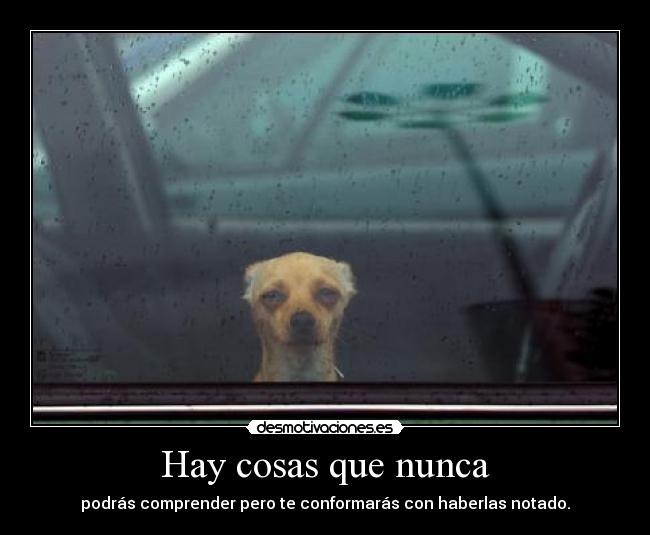 Hay cosas que nunca - podrás comprender pero te conformarás con haberlas notado.