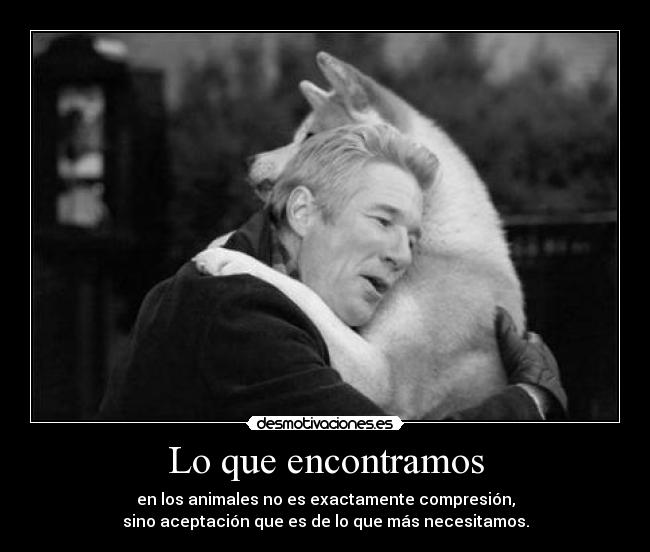 Lo que encontramos - en los animales no es exactamente compresión,
sino aceptación que es de lo que más necesitamos.