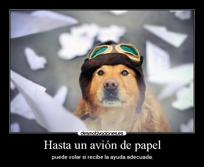 Hasta un avión de papel - 